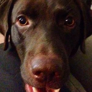 Meet your Posher, Scott